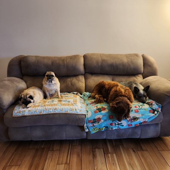 Meet your Posher, Posh - Picture 3 of 8